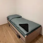 Zuzana Apartament Rudník